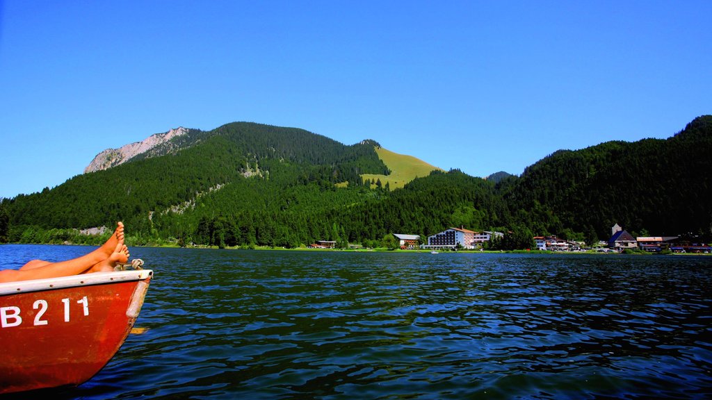 Spitzingsee ofreciendo botes, un lago o espejo de agua y bosques