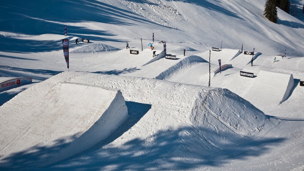 Spitzingsee ofreciendo nieve, esquiar en la nieve y snowboard