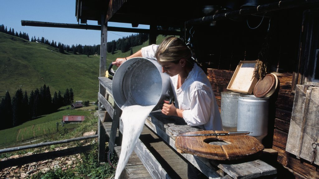 Spitzingsee showing heritage elements and tranquil scenes as well as an individual female