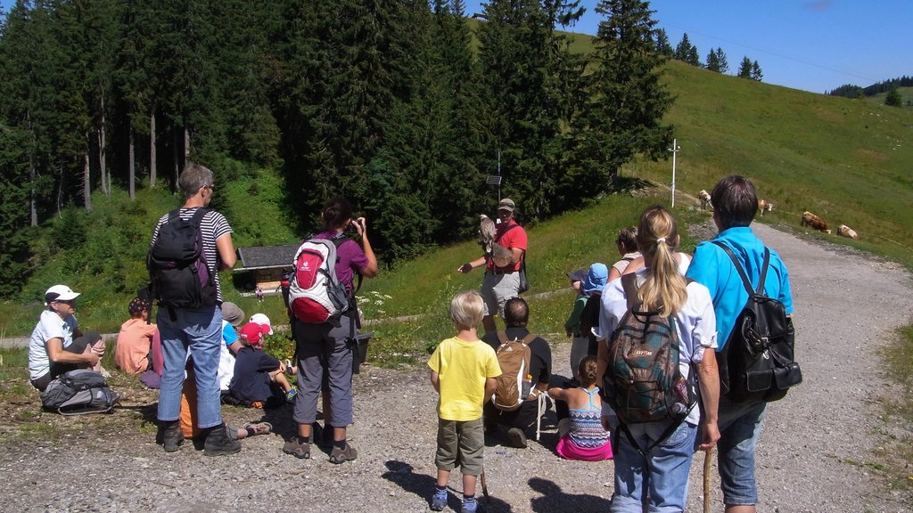 Spitzingsee que incluye escenas tranquilas y animales de zoológico y también una familia