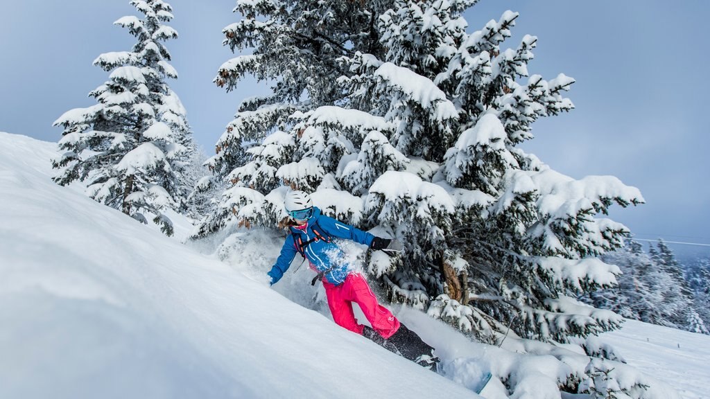 Spitzingsee caracterizando snowboard e neve assim como uma mulher sozinha