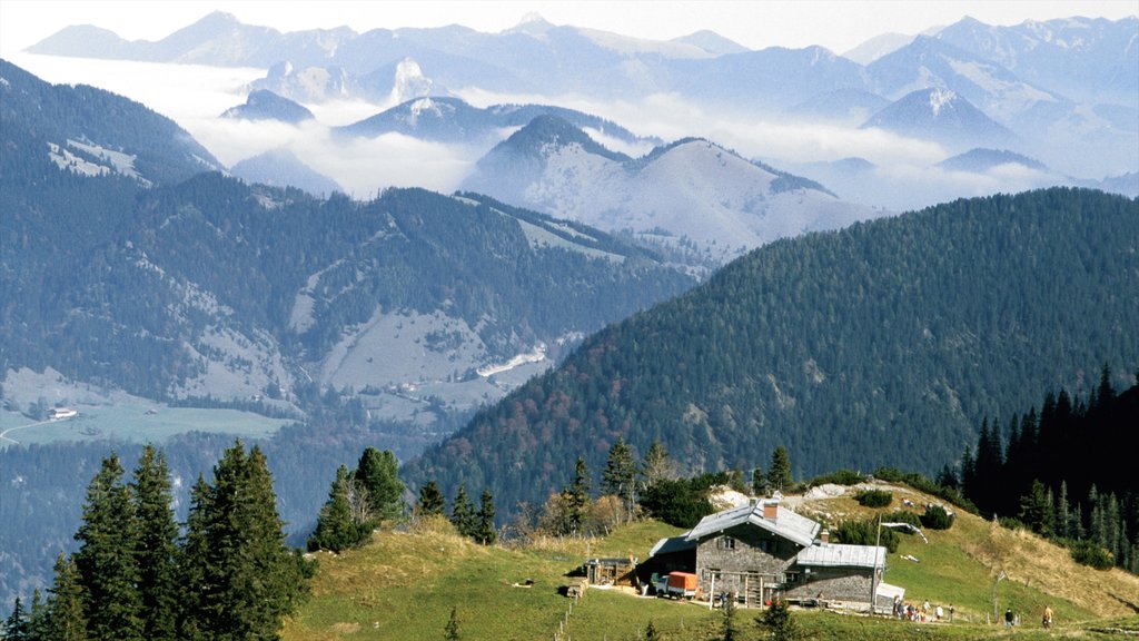 Spitzingsee mostrando paisagem, cenas de floresta e montanhas