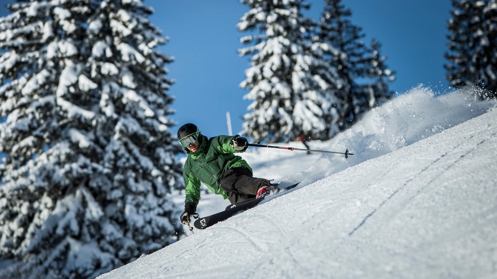 Spitzingsee showing snow and snow skiing as well as an individual male