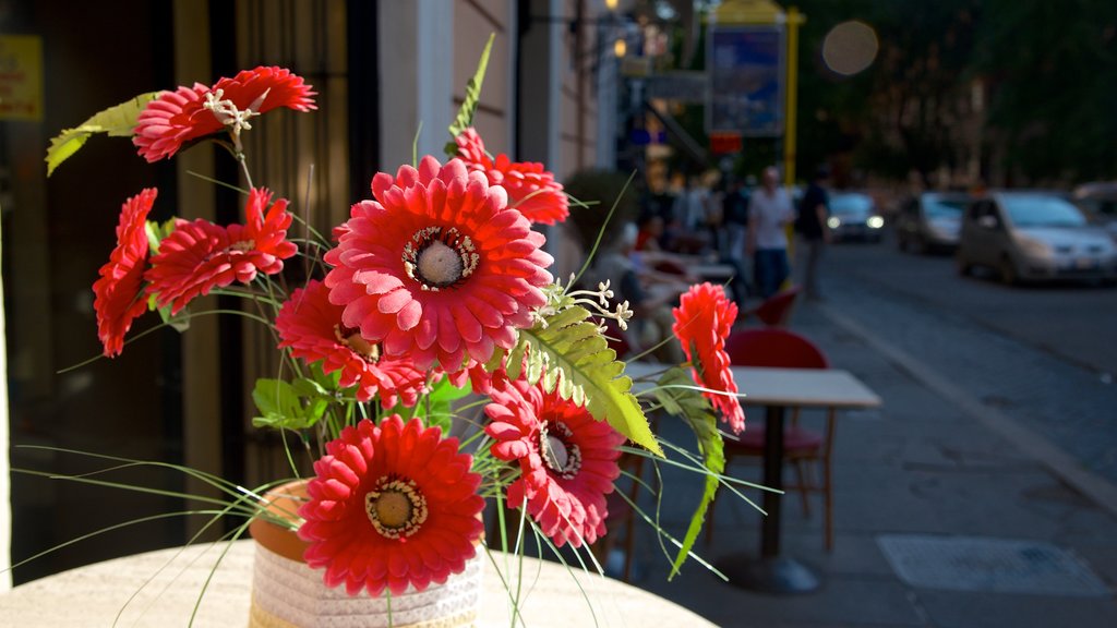 Sallustiano mostrando flores e cenas de rua