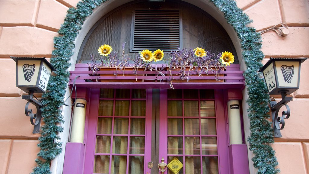 Sallustiano que inclui flores e um bar