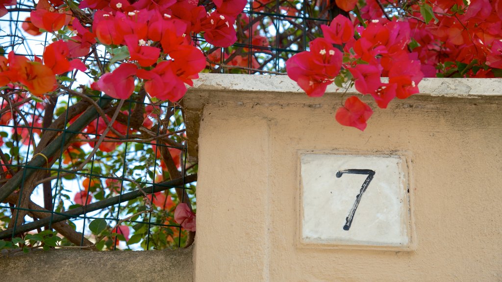 San Giovanni showing signage and flowers