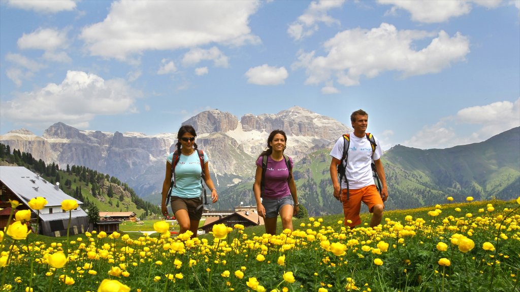 Fassa Valley mostrando escalada ou caminhada e flores silvestres assim como um pequeno grupo de pessoas