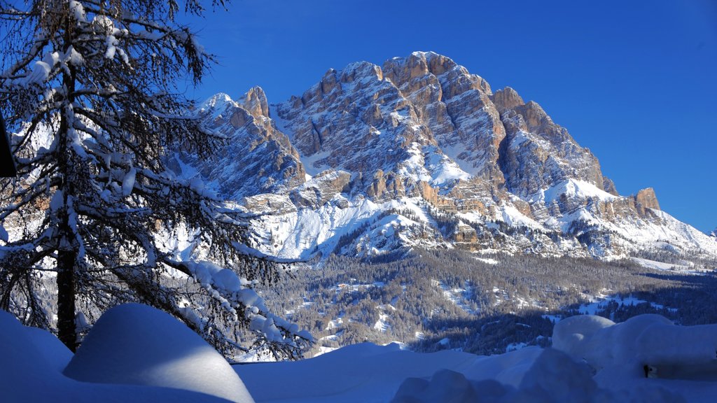 Cortina d\'Ampezzo Ski Resort som visar snö och berg