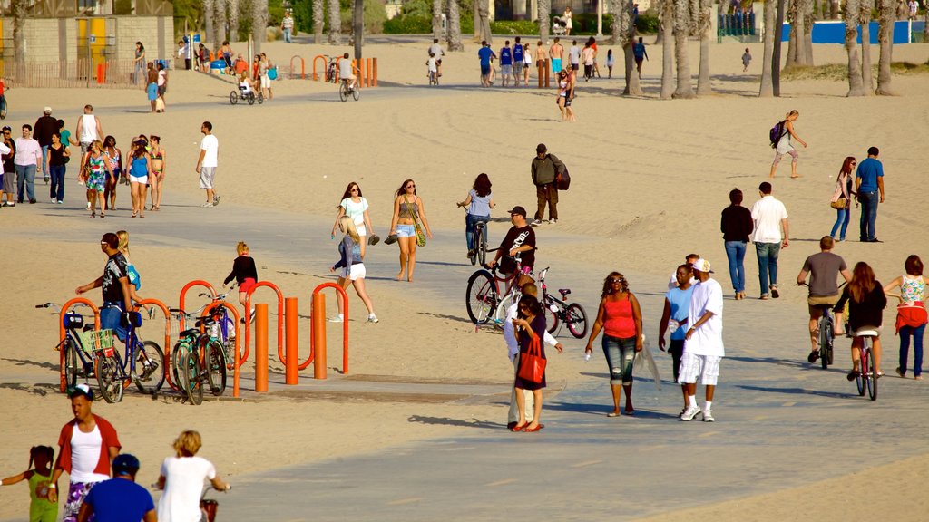 Santa Monica which includes cycling and general coastal views as well as a large group of people