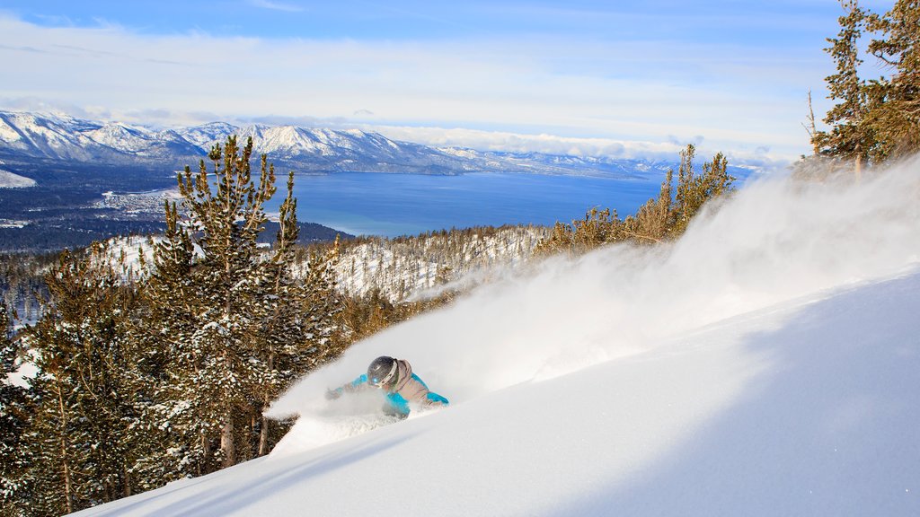 Heavenly Ski Resort ofreciendo nieve, bosques y un lago o espejo de agua