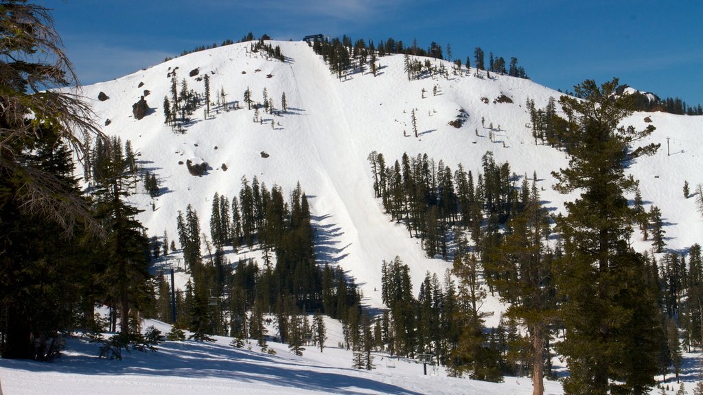 Lago Tahoe sur que incluye escenas tranquilas y nieve