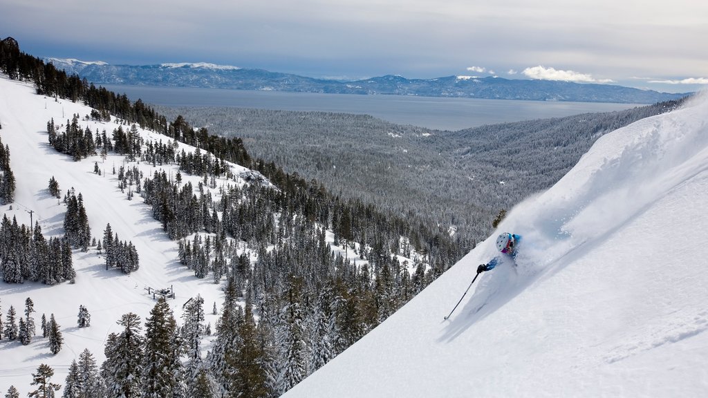 Alpine Meadows Ski Resort featuring snow, forest scenes and a lake or waterhole