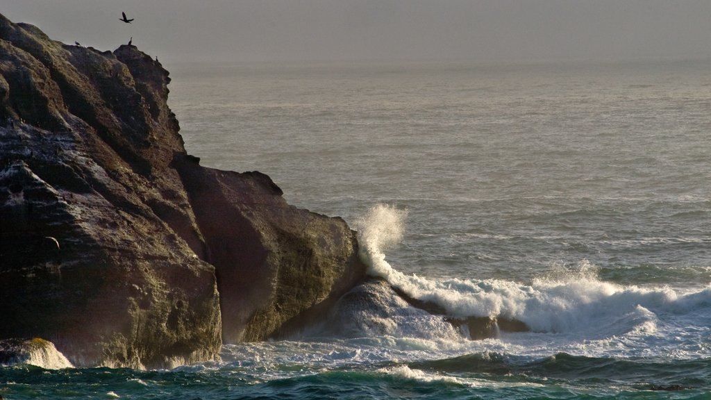 Washington Coast which includes rugged coastline and general coastal views