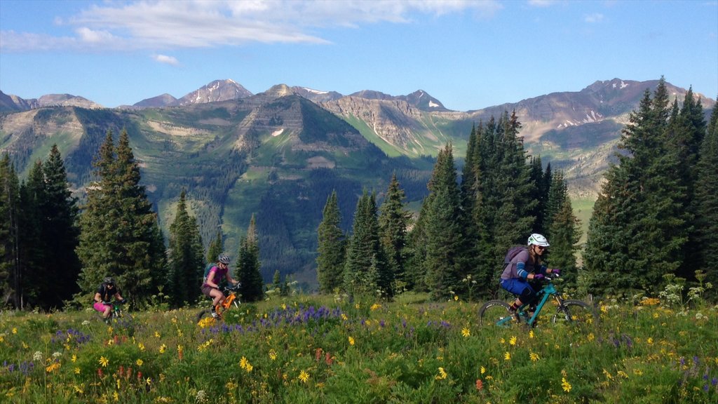 Gunnison - Crested Butte que incluye vistas panorámicas, flores salvajes y montañas