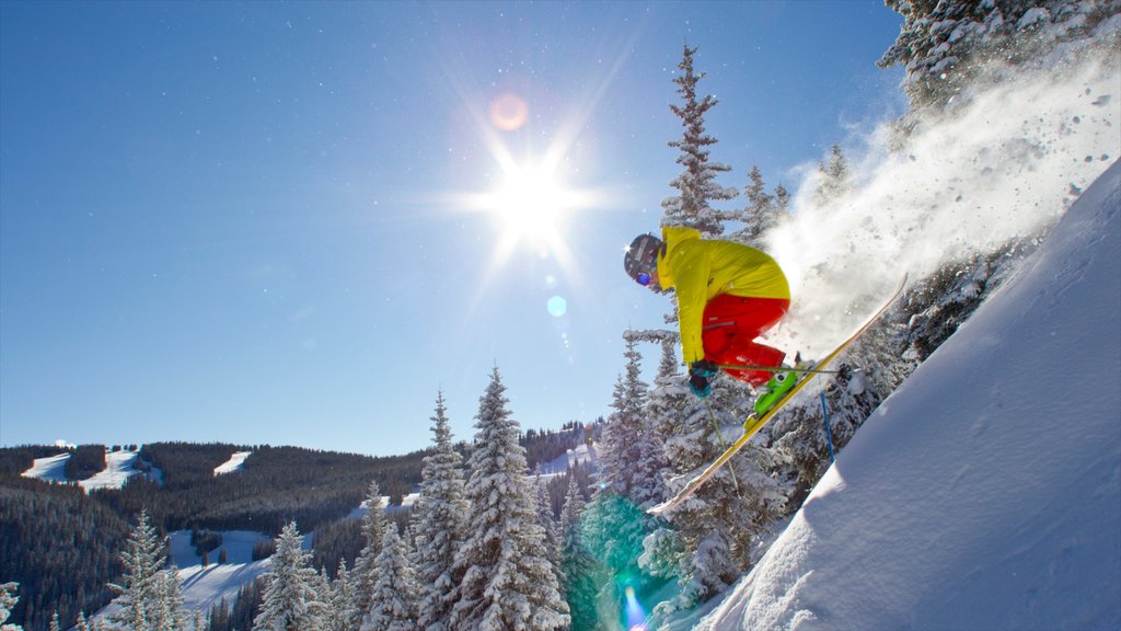 Breckenridge Ski Resort presenterar utförsåkning, snö och skogslandskap