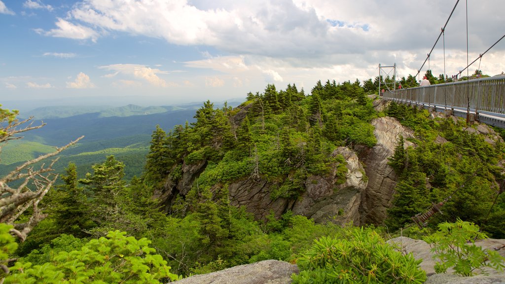 Grandfather Mountain showing landscape views, a suspension bridge or treetop walkway and hiking or walking