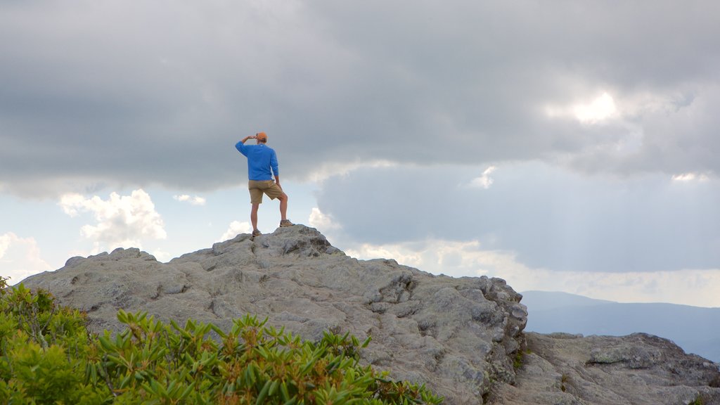 Grandfather Mountain which includes views and hiking or walking as well as an individual male