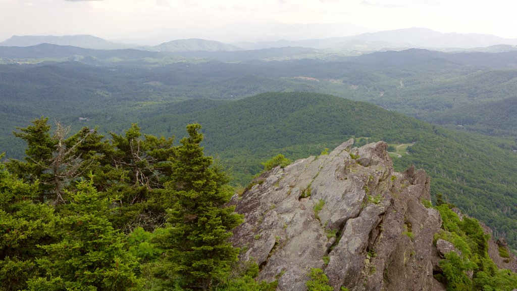 Grandfather Mountain que inclui florestas, paisagem e cenas tranquilas