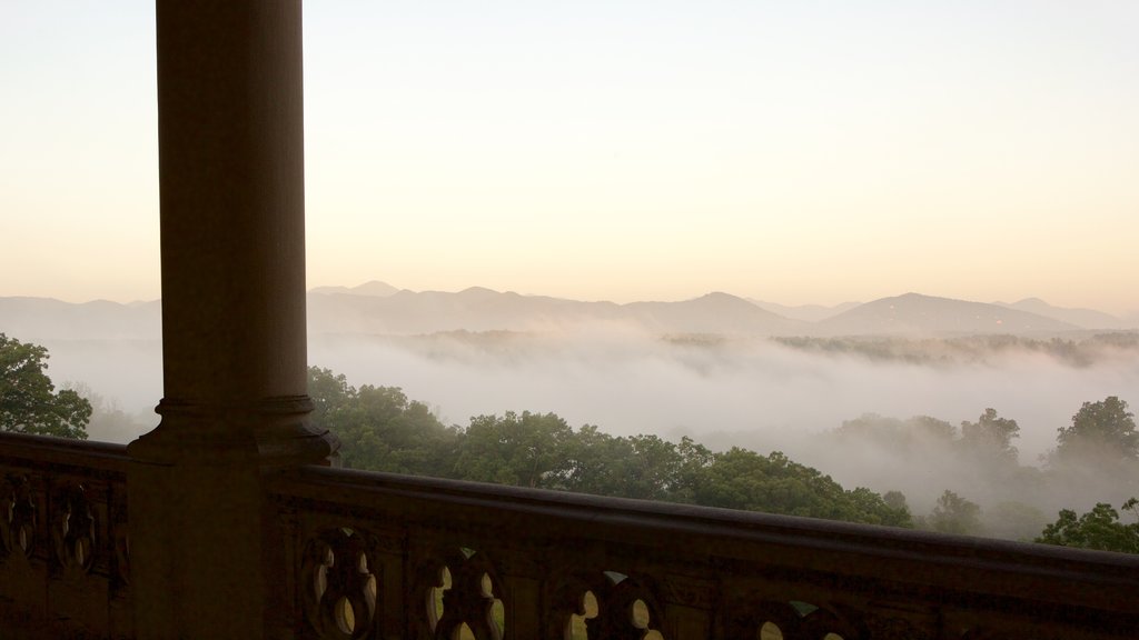 Biltmore Estate que incluye elementos del patrimonio, neblina o niebla y vistas interiores