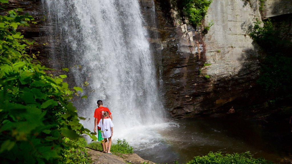 Pisgah Forest which includes a waterfall and forest scenes as well as a small group of people