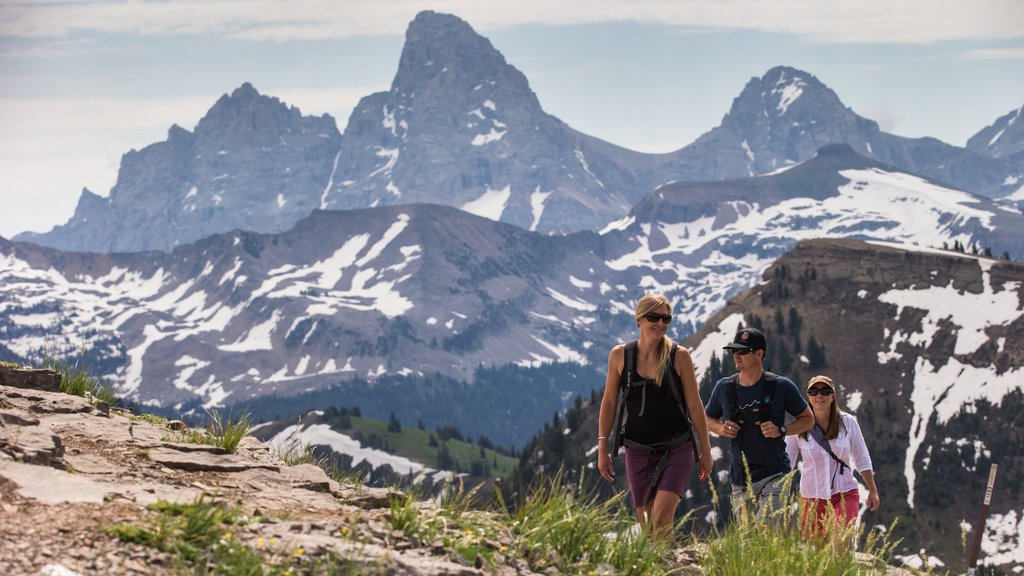 Grand Targhee Resort showing mountains, hiking or walking and snow