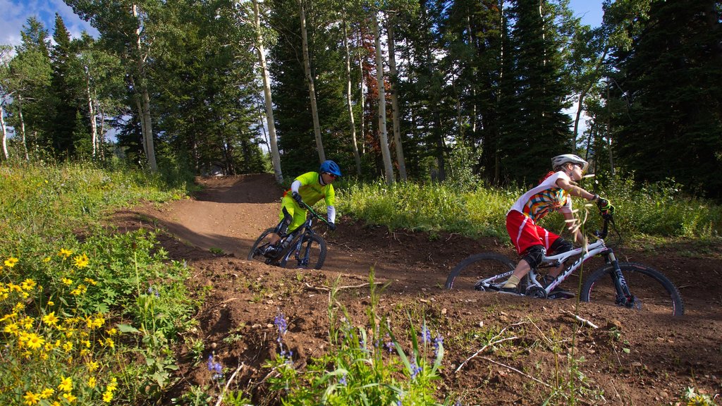 Grand Targhee Resort caracterizando mountain bike assim como um pequeno grupo de pessoas