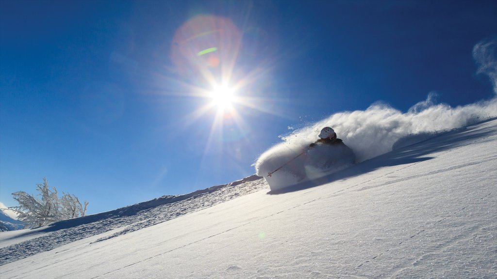 Grand Targhee Resort showing snow and snow skiing as well as an individual male