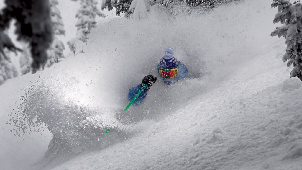 Grand Targhee Resort showing snow and snow skiing as well as an individual male