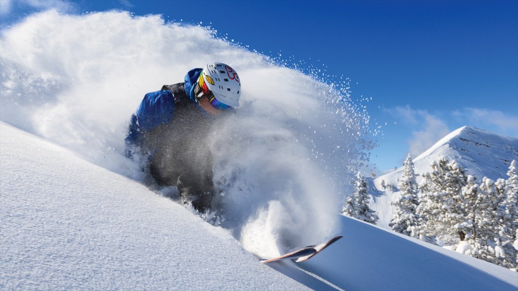 Grand Targhee Resort showing snow and snow skiing as well as an individual male