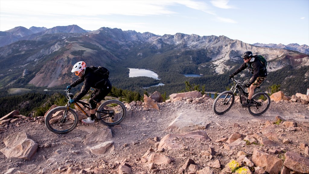 Mammoth Mountain Ski Resort which includes landscape views, mountain biking and tranquil scenes