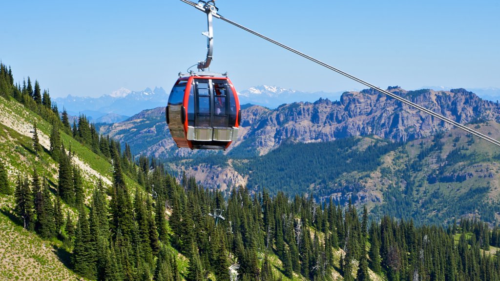 Área de esqui Crystal Mountain que inclui cenas de floresta, uma gôndola e montanhas