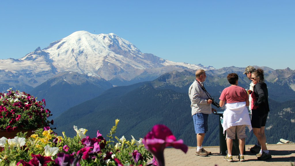 Área de esqui Crystal Mountain que inclui montanhas, neve e flores