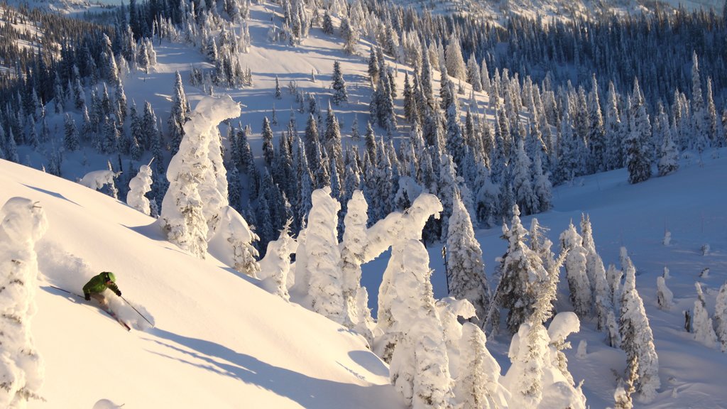 Whitefish Mountain Ski Resort toont sneeuw en bos