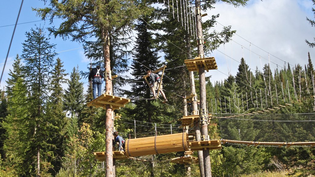 Whitefish Mountain Ski Resort showing forest scenes, climbing and a playground