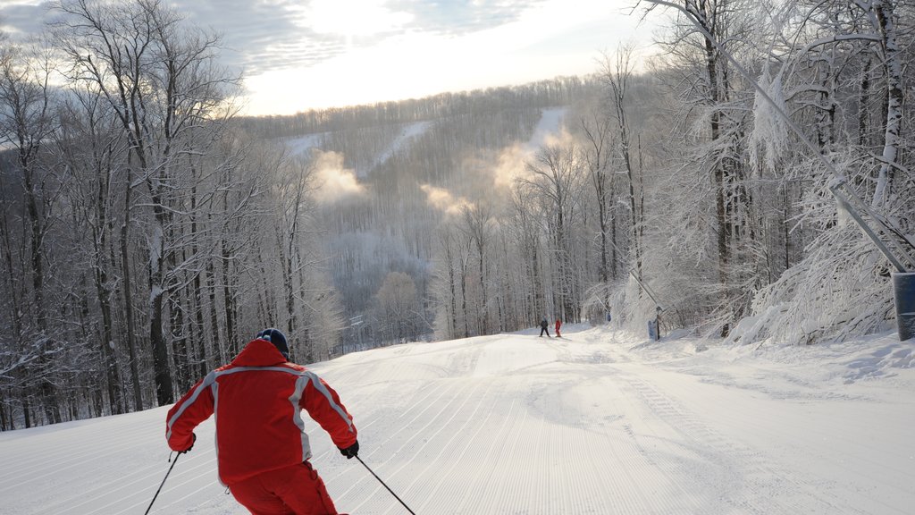 Holiday Valley Ski Area toont sneeuw, bos en skiën