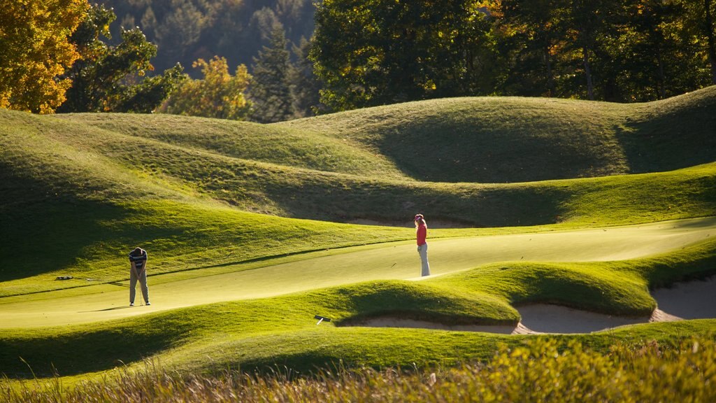 Okemo Valley Golf Club showing golf as well as a small group of people