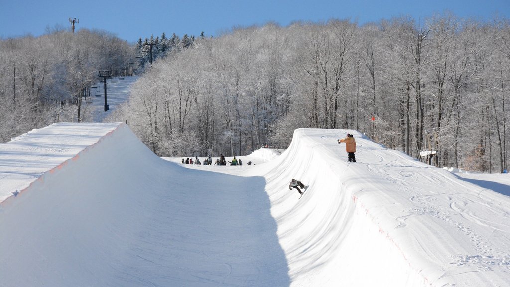 Okemo Valley Golf Club which includes snow and snowboarding as well as a small group of people