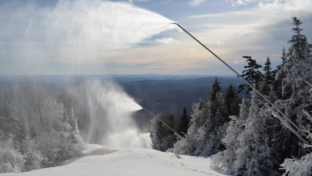 Okemo Valley Golf Club som viser skove og sne