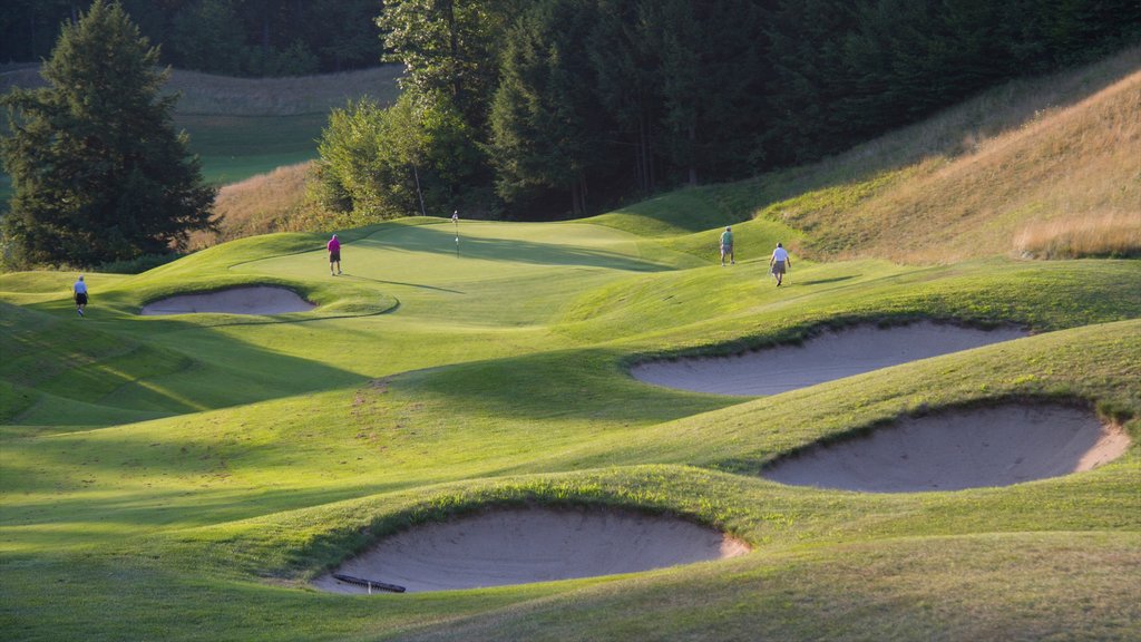 Okemo Valley Golf Club mostrando golfe e um parque assim como um pequeno grupo de pessoas