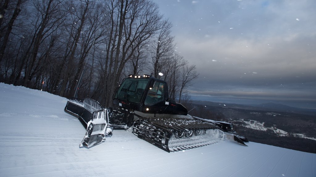 Okemo Mountain Resort showing snow