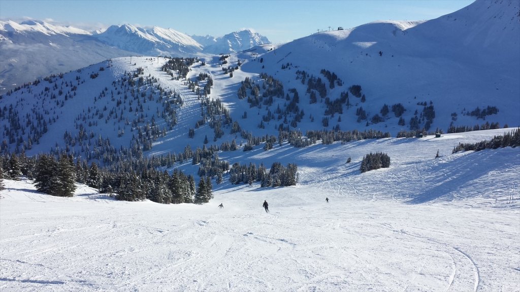 Marmot Basin showing landscape views, snow and mountains