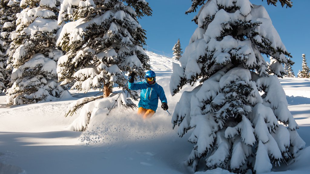 Marmot Basin featuring snow and snow skiing as well as an individual female