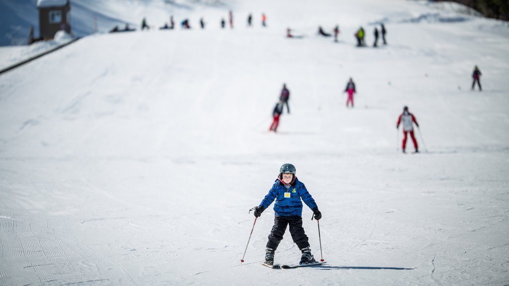 Marble Mountain showing snow skiing and snow as well as a small group of people