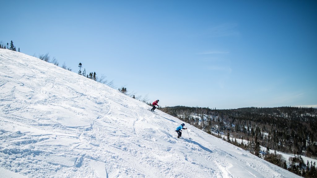 Marble Mountain som visar utförsåkning och snö såväl som en liten grupp av människor