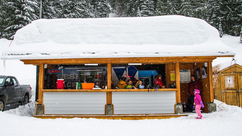 Whitewater Ski Resort showing snow and café lifestyle as well as a small group of people