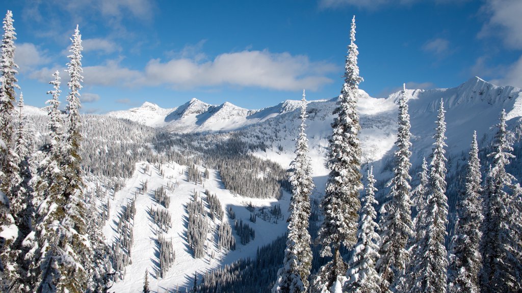 Whitewater Ski Resort showing landscape views, tranquil scenes and forests