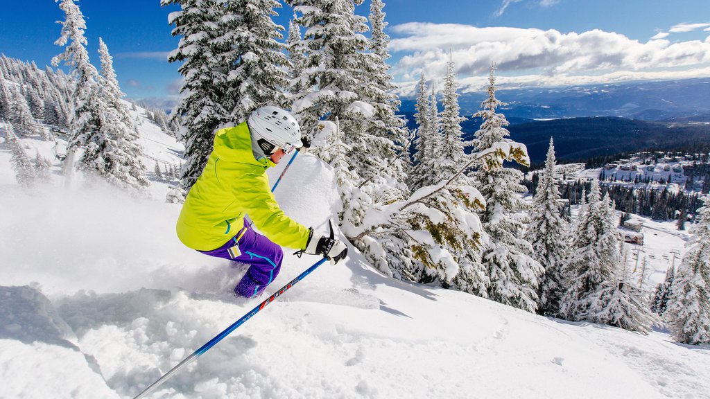 Silver Star Ski Resort showing snow and snow skiing as well as an individual female