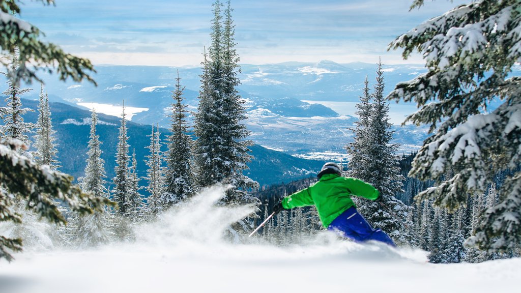 Silver Star Ski Resort showing forests, snow skiing and landscape views