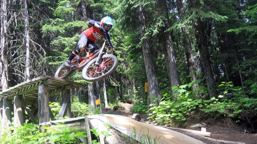 Estação de esqui Silver Star que inclui mountain bike assim como um homem sozinho