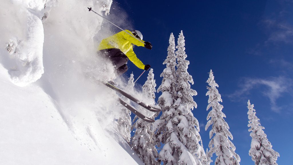 Silver Star Ski Resort showing snow skiing and snow as well as an individual male